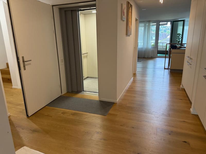 Modern maisonette with direct lift access to the apartment and a dreamy rooftop terrace (7)