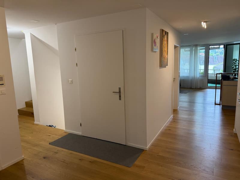 Modern maisonette with direct lift access to the apartment and a dreamy rooftop terrace (8)