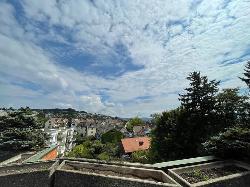 Exklusive Maisonettewohnung mit direktem Liftzugang und traumhafter Dachterrasse (12)