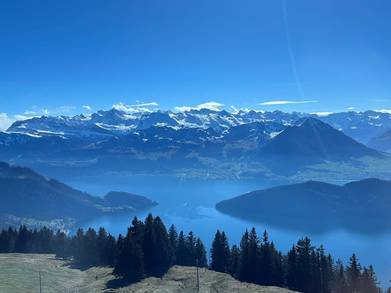 Traumhafte 4.5 Zimmer Wohnung auf Rigi Kaltbad, frisch renoviert – mit See-, Berg- und Alpenblick (2)