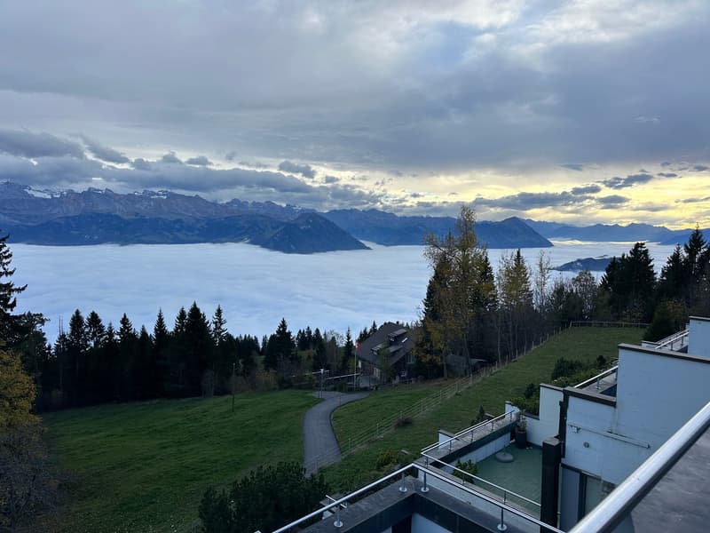 Traumhafte 4.5 Zimmer Wohnung auf Rigi Kaltbad, frisch renoviert – mit See-, Berg- und Alpenblick (9)