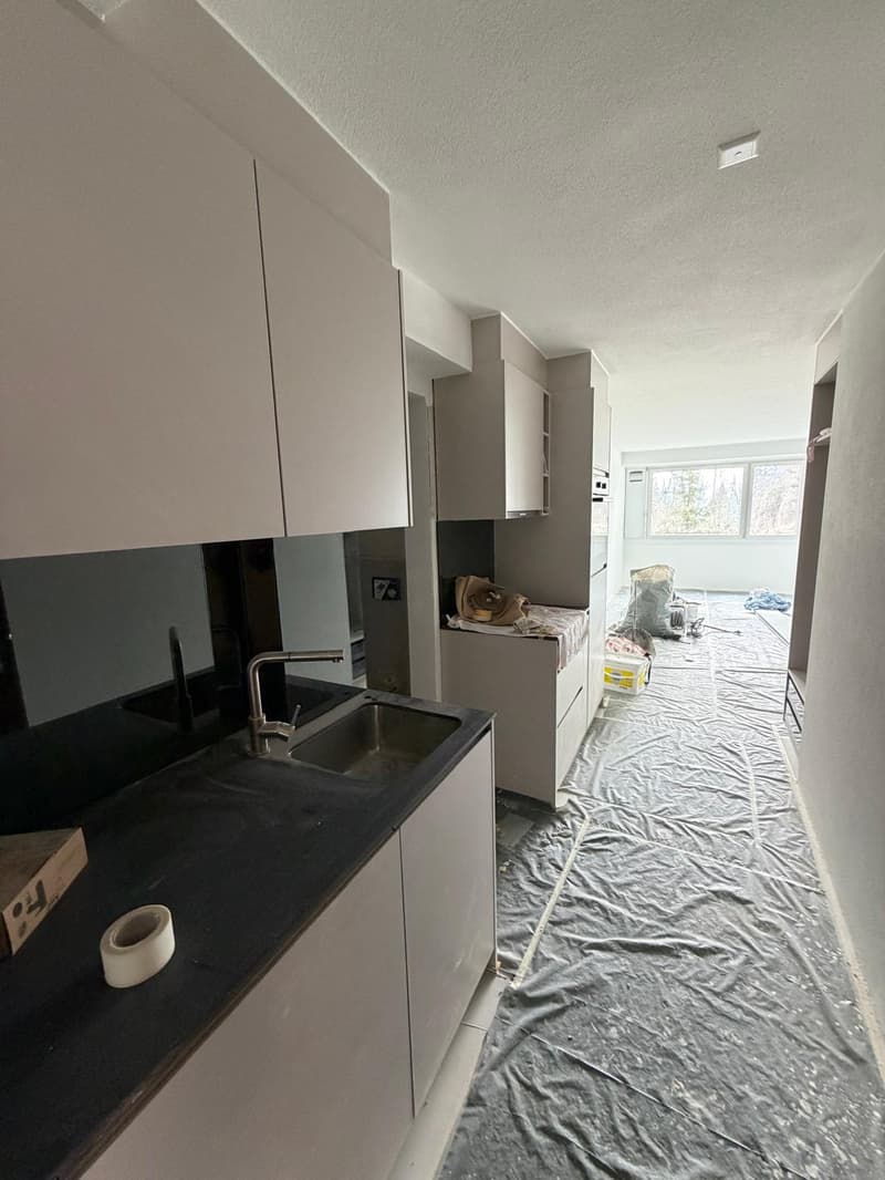 Attraktive Studio-Wohnung in Rigi Kaltbad mit viel Licht (5)