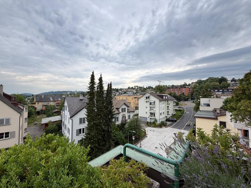 Exklusive Maisonettewohnung mit direktem Liftzugang und traumhafter Dachterrasse (15)