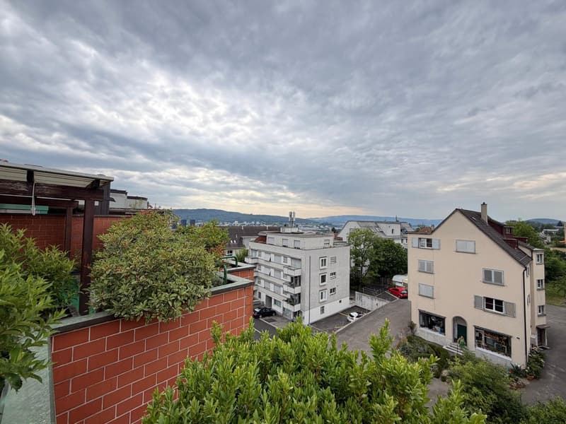 Exklusive Maisonettewohnung mit direktem Liftzugang und traumhafter Dachterrasse (18)