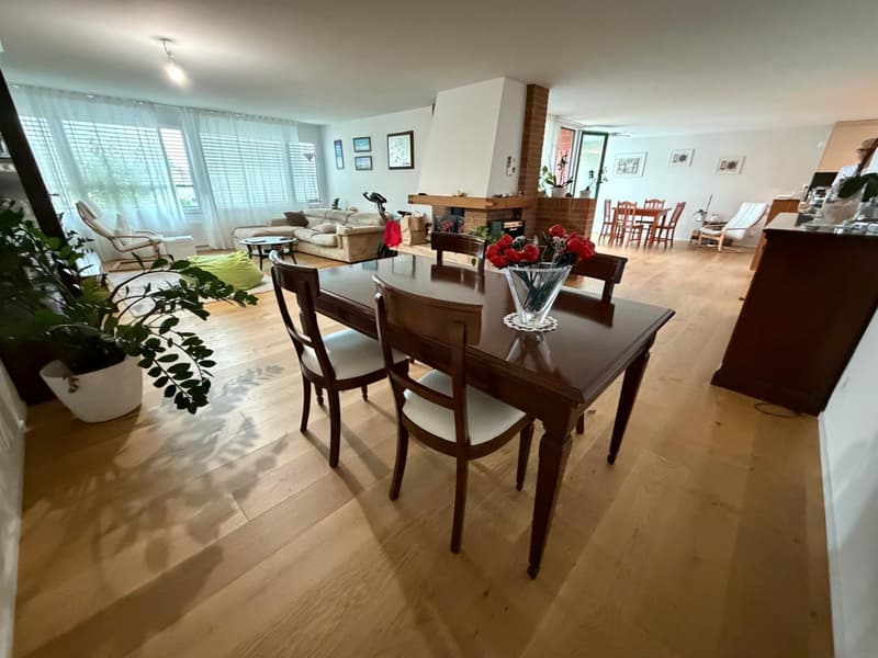 Exklusive Maisonettewohnung mit direktem Liftzugang und traumhafter Dachterrasse (5)