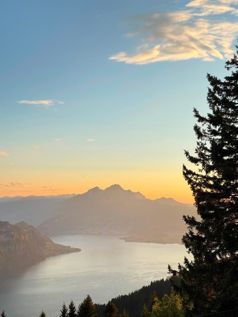 Möbliertes 1.5-Zimmer-Studio – frisch renoviert in Rigi Kaltbad (6)