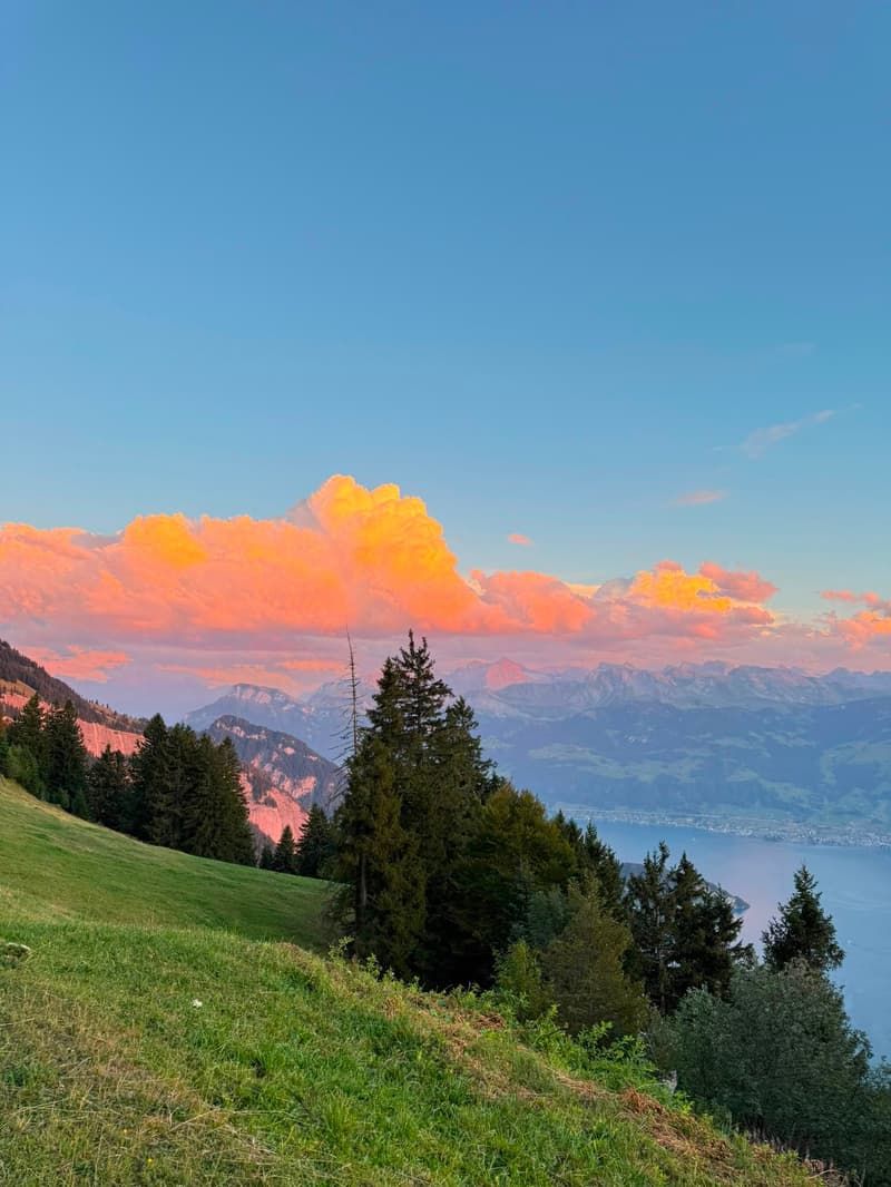 Möbliertes 1.5-Zimmer-Studio – frisch renoviert in Rigi Kaltbad (5)