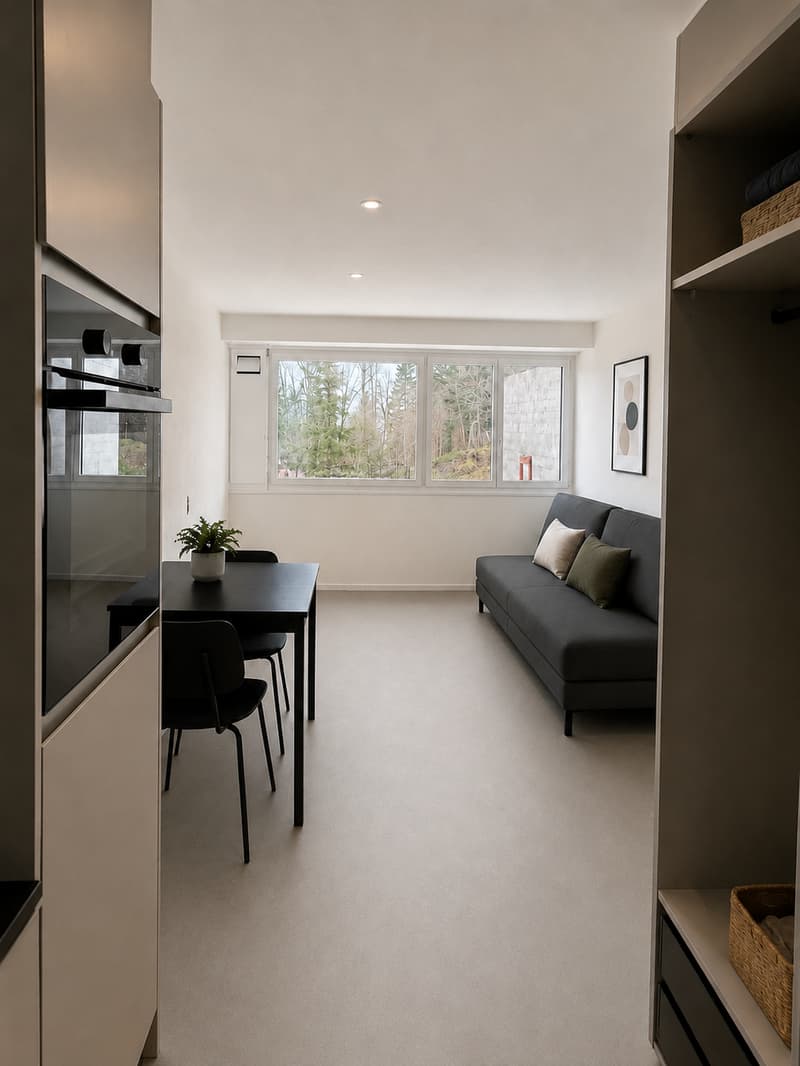 Möbliertes 1.5-Zimmer-Studio – frisch renoviert in Rigi Kaltbad (4)