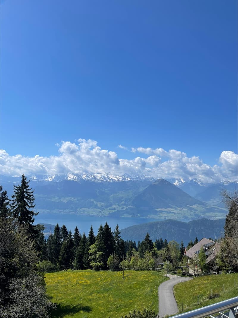 Moderne 4.5-Zimmer-Duplex-Wohnung mit Bergblick in Rigi Kaltbad (5)