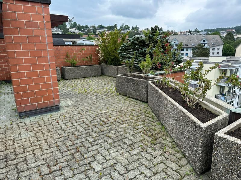 Exklusive Maisonettewohnung mit direktem Liftzugang und traumhafter Dachterrasse (16)