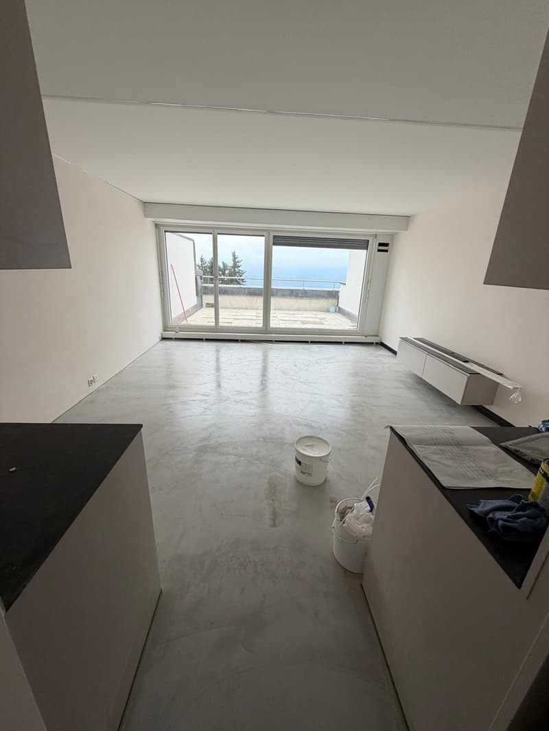 Moderne 4.5-Zimmer-Duplex-Wohnung mit Bergblick in Rigi Kaltbad (4)
