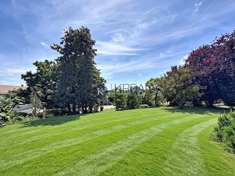 Charmante maison jumelée de 5.5 pièces avec jardin arboré et terrasse ensoleillée (12)