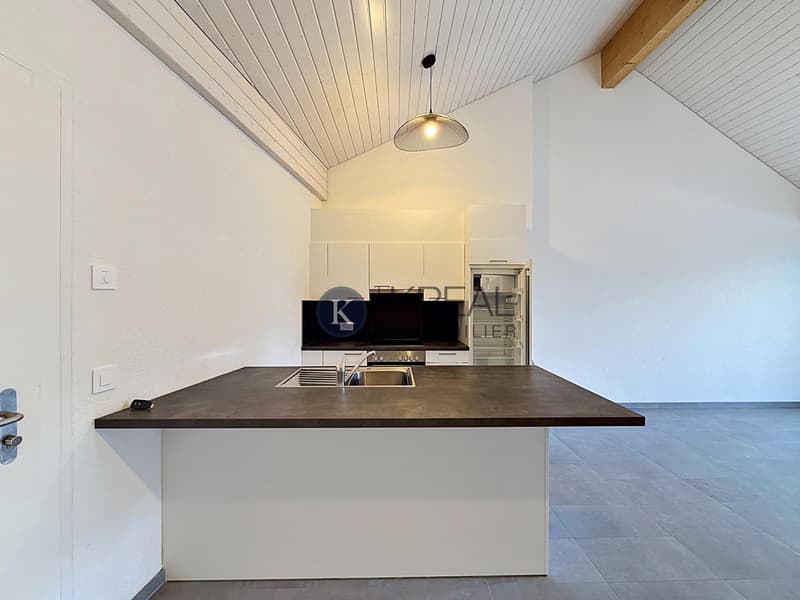 Schönes 2.5-Zimmer-Apartment im letzten Stock eines neuen PPE (3)
