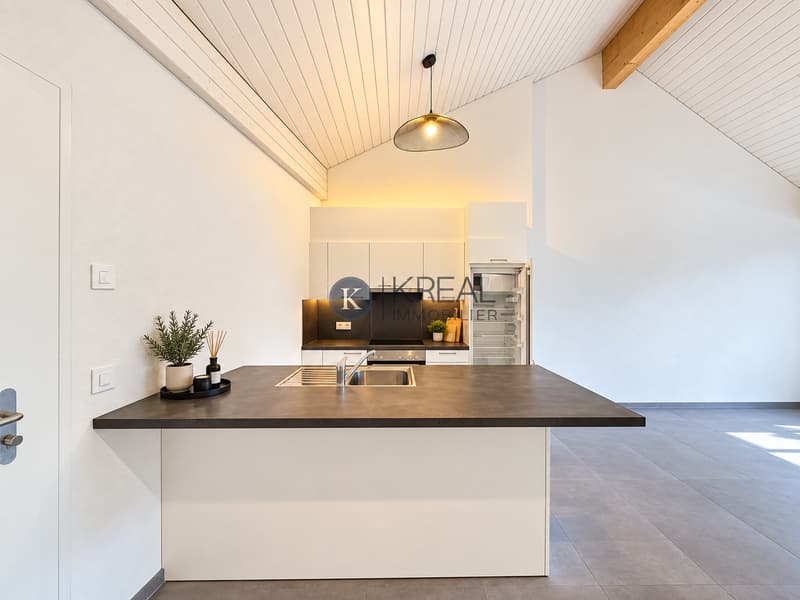 Bel appartement de 2.5 pièces au dernier étage d'une PPE récente (3)
