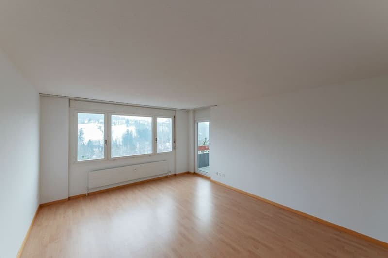 Appartamento luminoso 2.5 locali con attrezzature moderne (2)