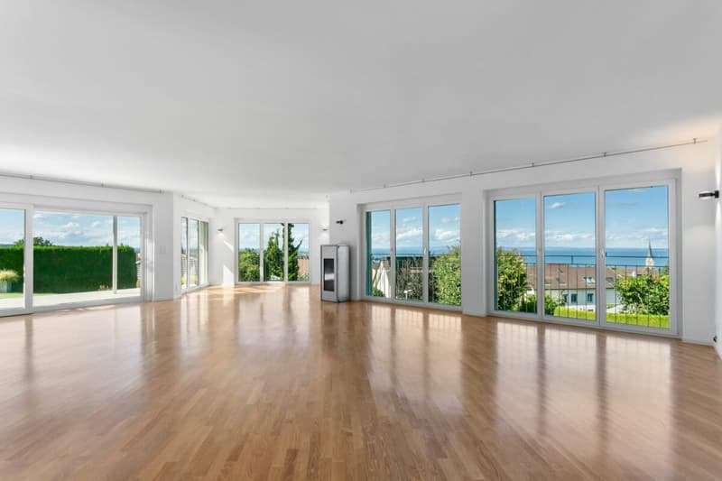 Villa con vista mozzafiato sul lago e piscina all'aperto (7)