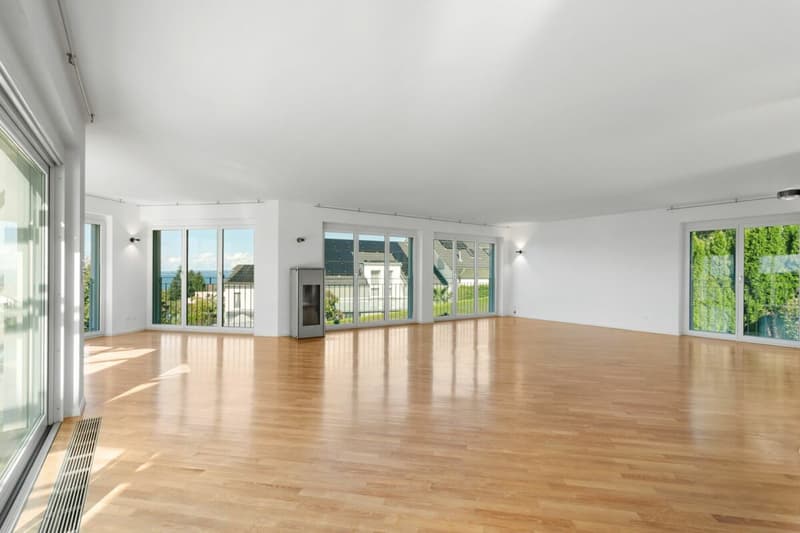 Villa con vista mozzafiato sul lago e piscina all'aperto (11)