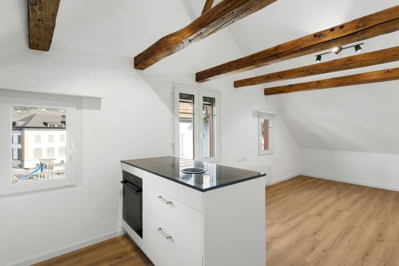 Appartamento di design 2.5 locali con isola cucina (4)