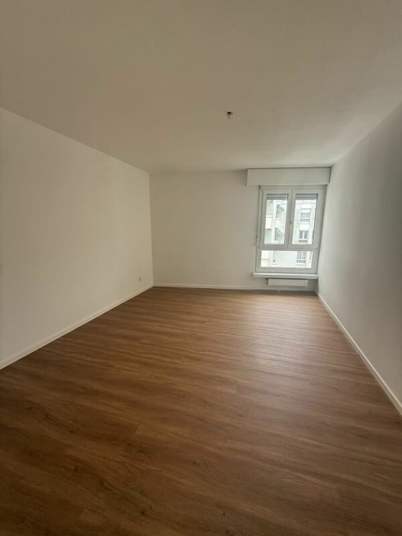 Appartement de 3 pièces rénové à louer (6)
