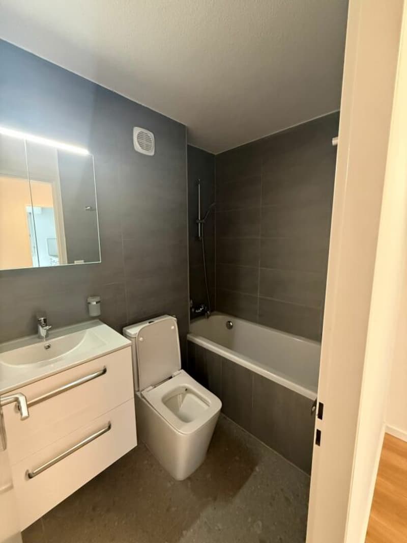 Appartement de 3 pièces rénové à louer (4)