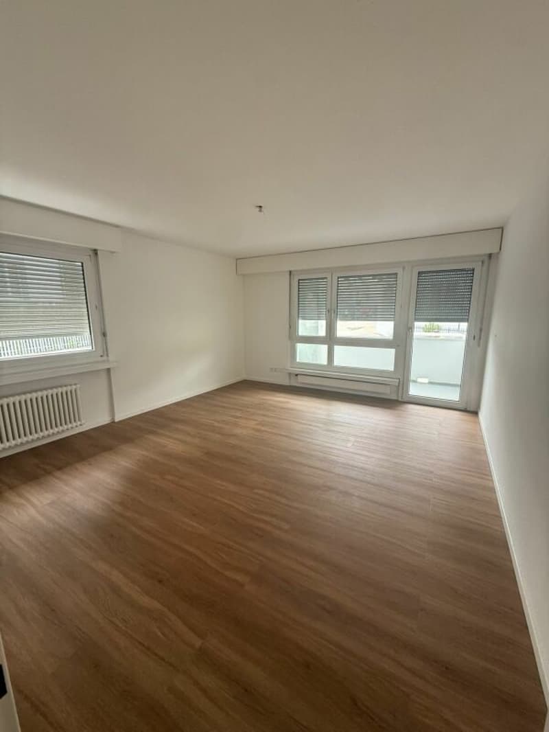 Appartement de 3 pièces rénové à louer (2)
