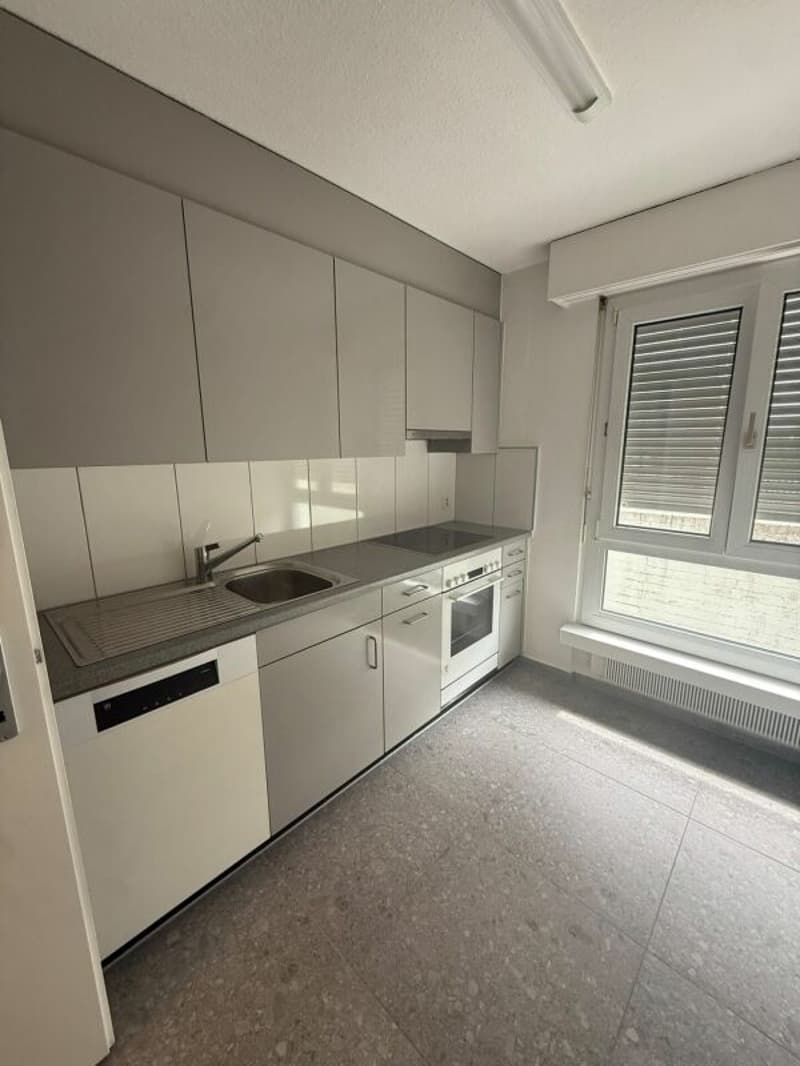 Appartement de 3 pièces rénové à louer (1)