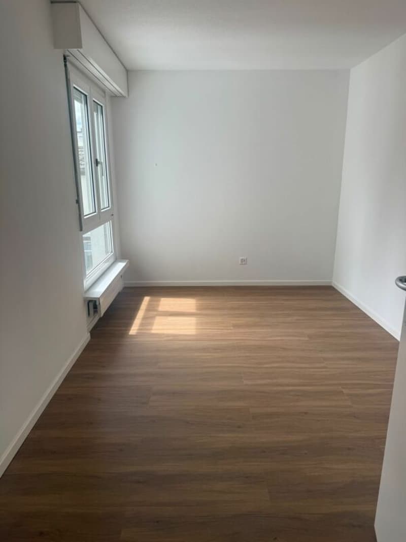 Appartement de 3 pièces rénové à louer (3)