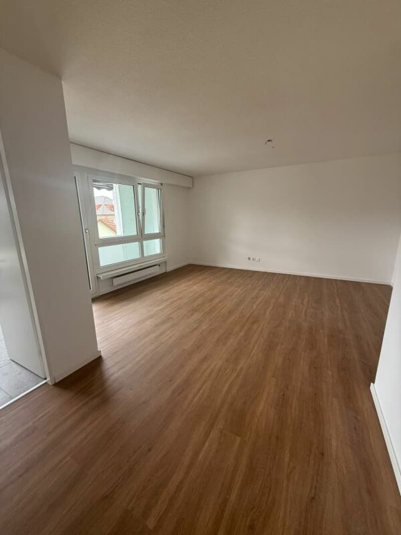 Appartement de 3 pièces rénové à louer (7)