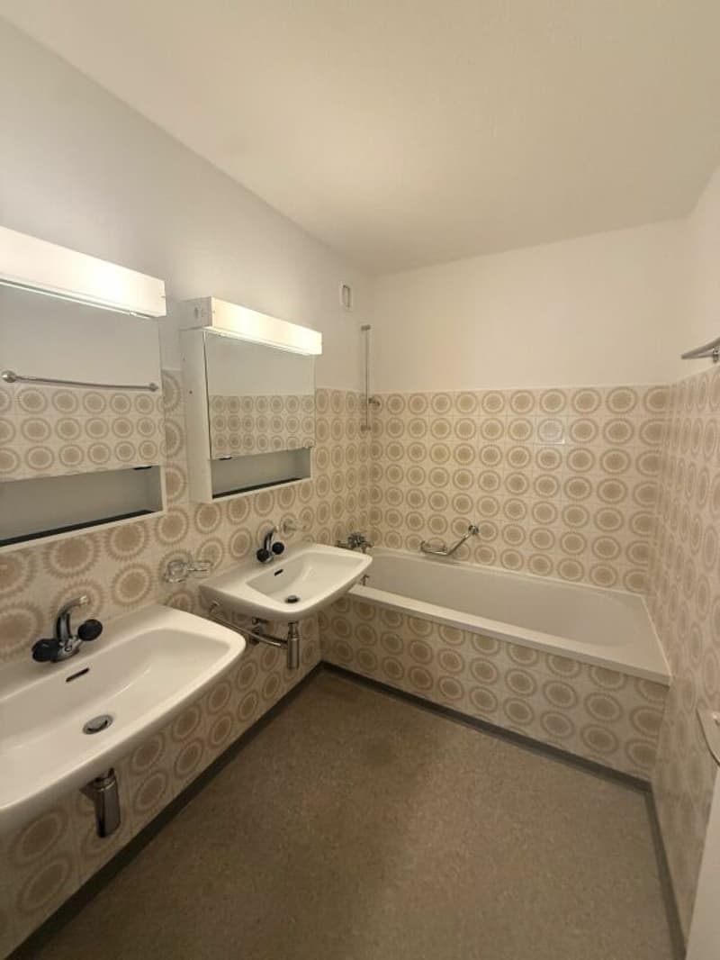 Spacious 5.5-room apartment in a central location (14)