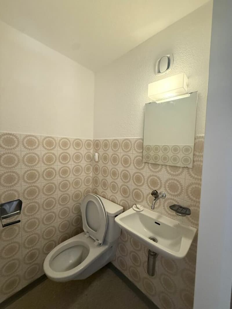 Spacious 5.5-room apartment in a central location (13)