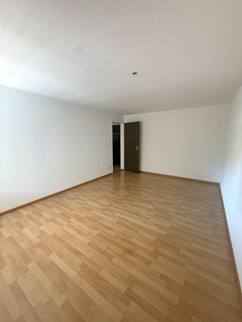 Spacious 5.5-room apartment in a central location (5)