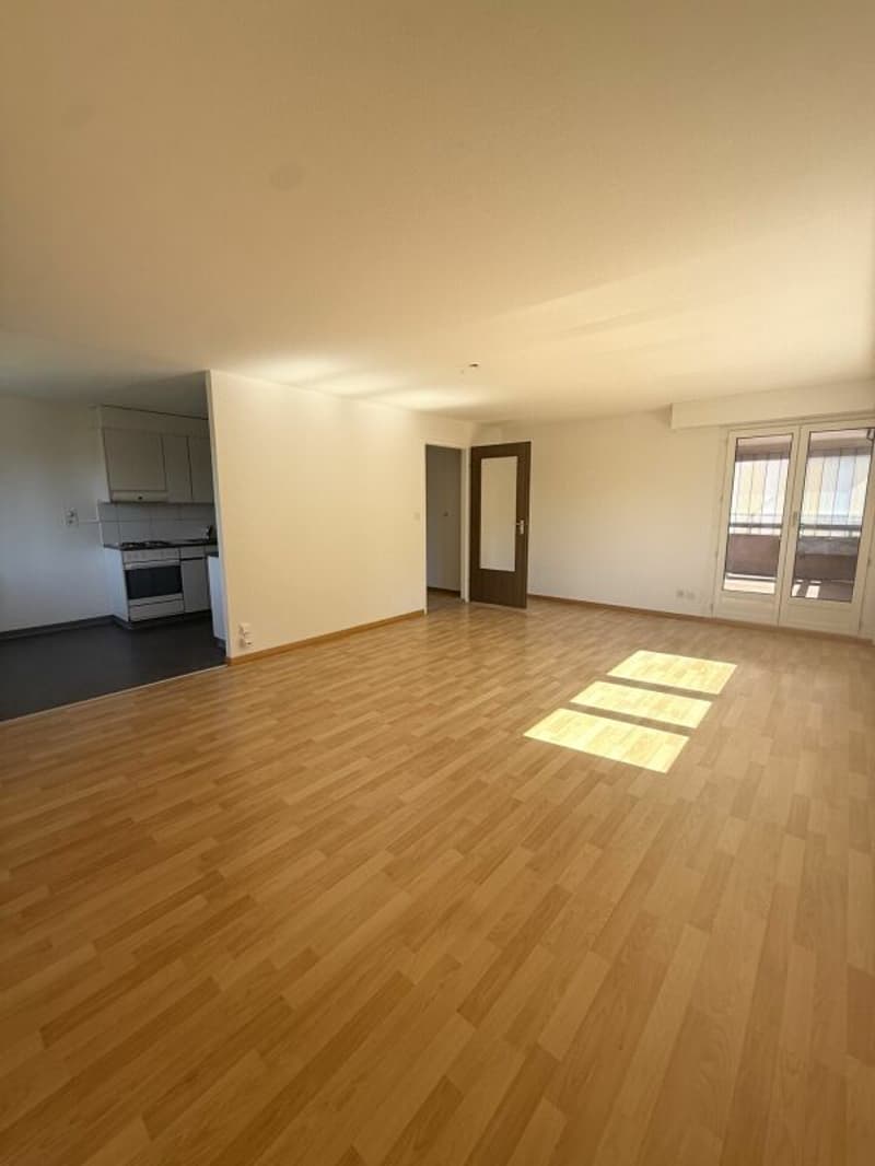 Spacious 5.5-room apartment in a central location (1)