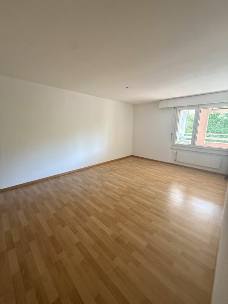 Spacious 5.5-room apartment in a central location (6)