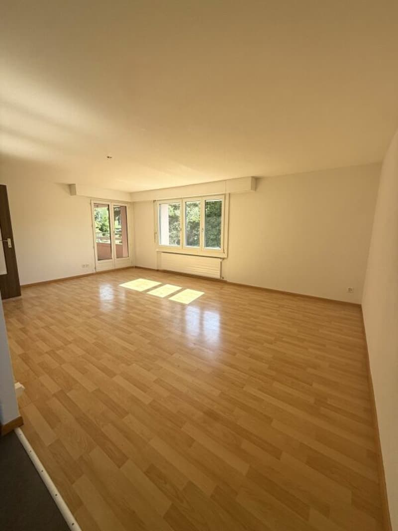 Spacious 5.5-room apartment in a central location (2)