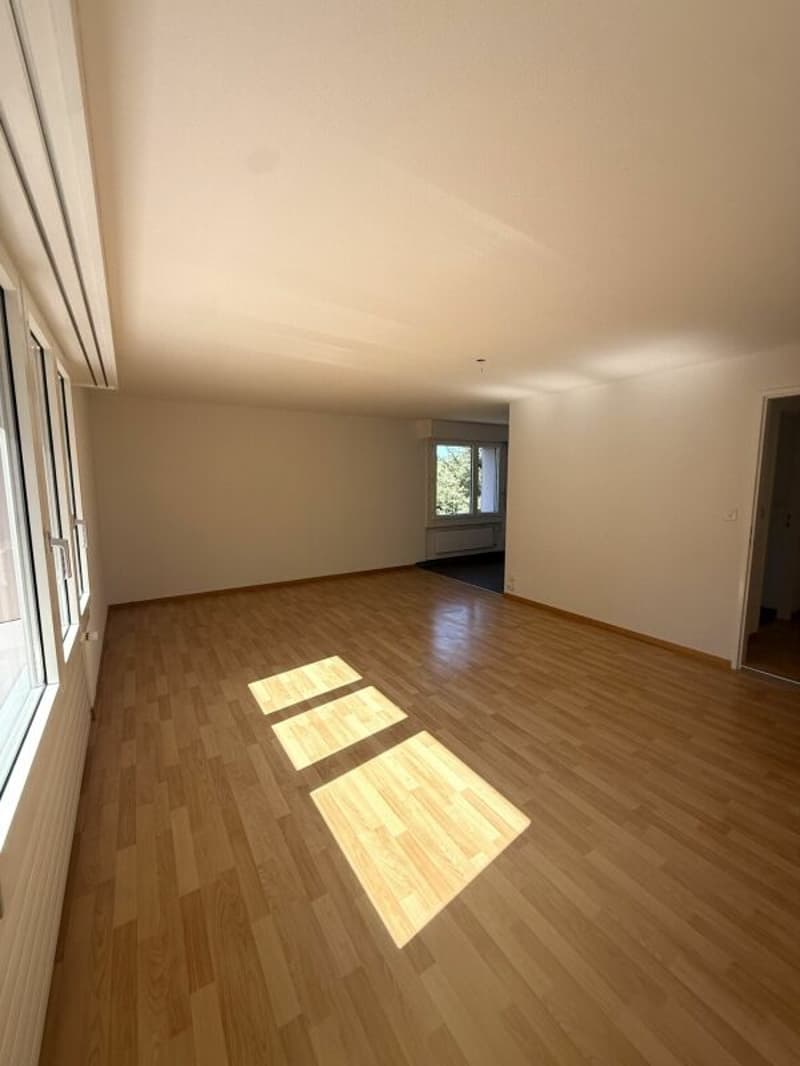 Spacious 5.5-room apartment in a central location (3)