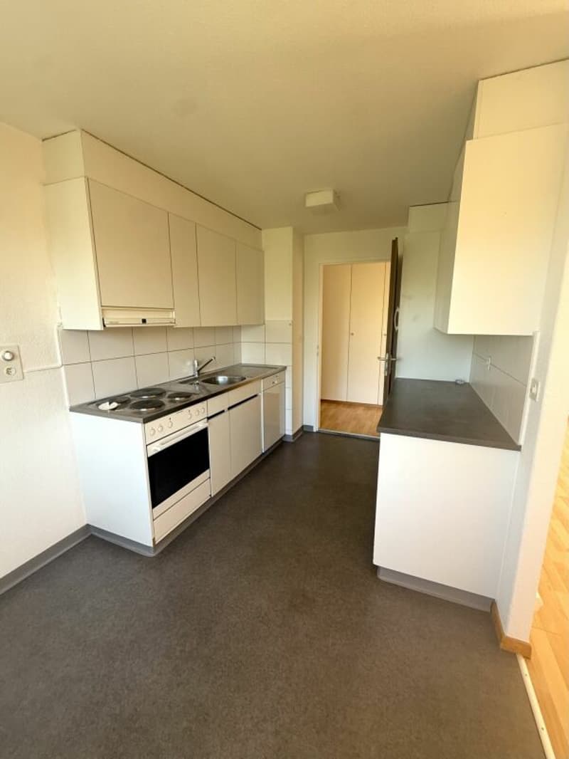 Spacious 5.5-room apartment in a central location (11)