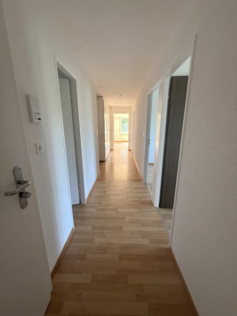 Spacious 5.5-room apartment in a central location (10)