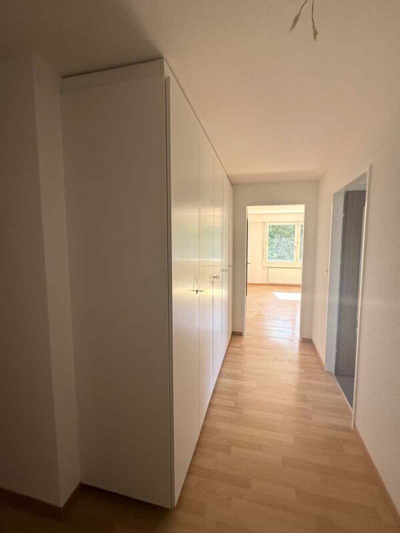 Spacious 5.5-room apartment in a central location (9)