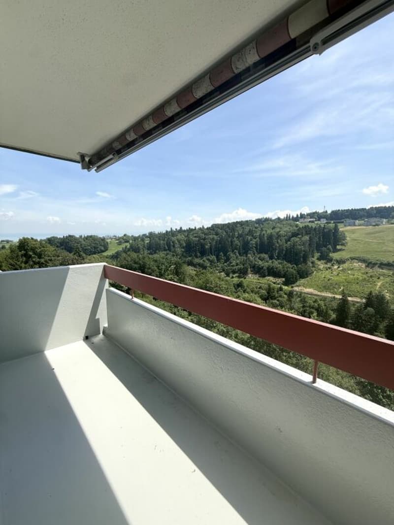 Partially renovated 4.5-room apartment with attractive floor plan (10)