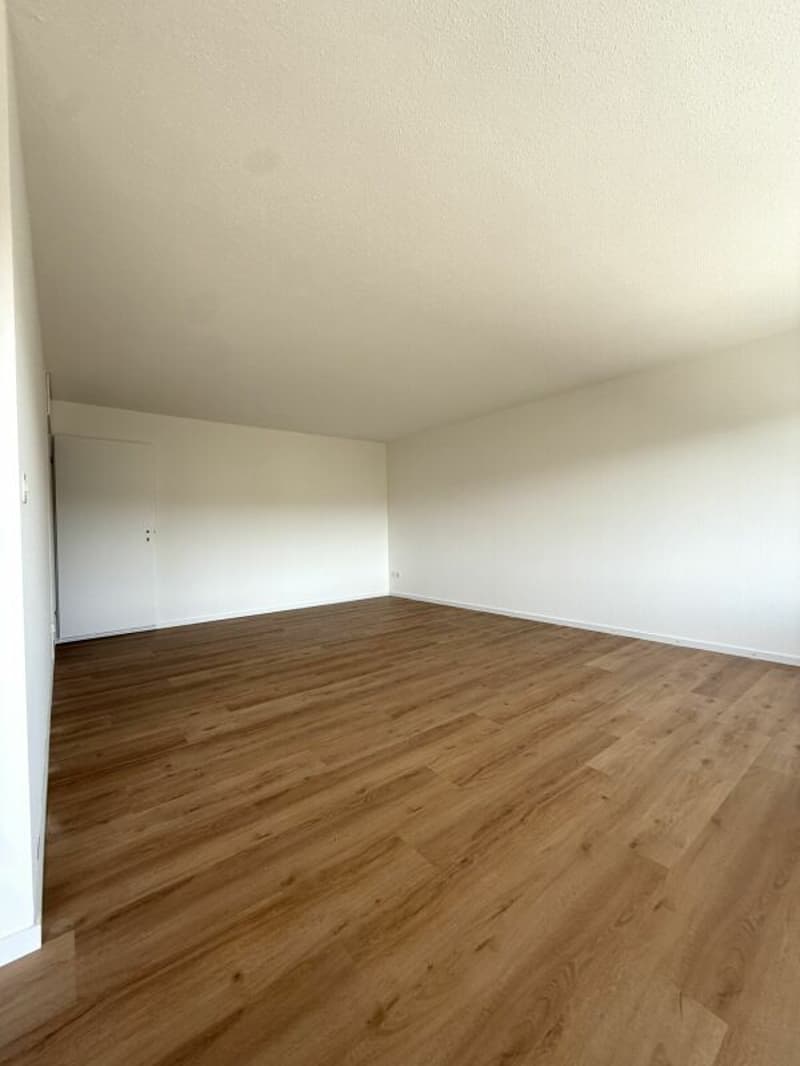 Partially renovated 4.5-room apartment with attractive floor plan (2)