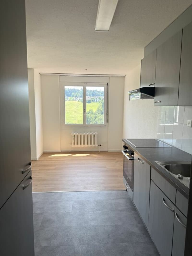 Partially renovated 4.5-room apartment with attractive floor plan (6)