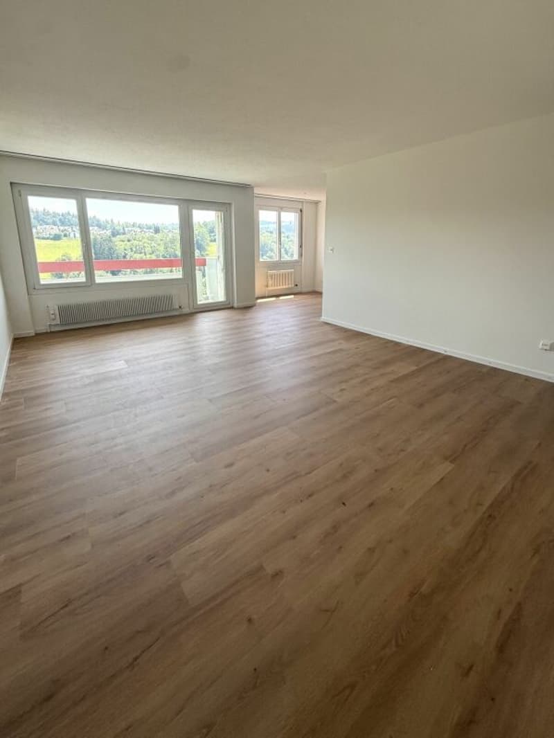 Partially renovated 4.5-room apartment with attractive floor plan (1)