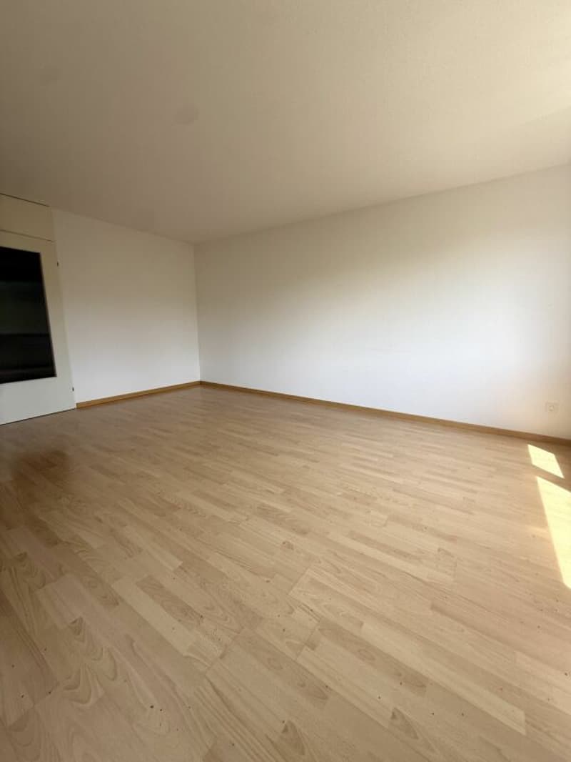 2.5-room apartment with attractive floor plan (2)