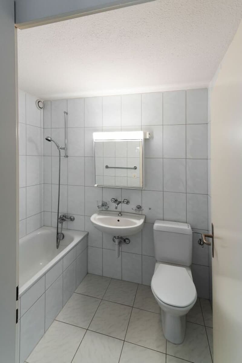 2.5-room apartment with attractive floor plan (8)