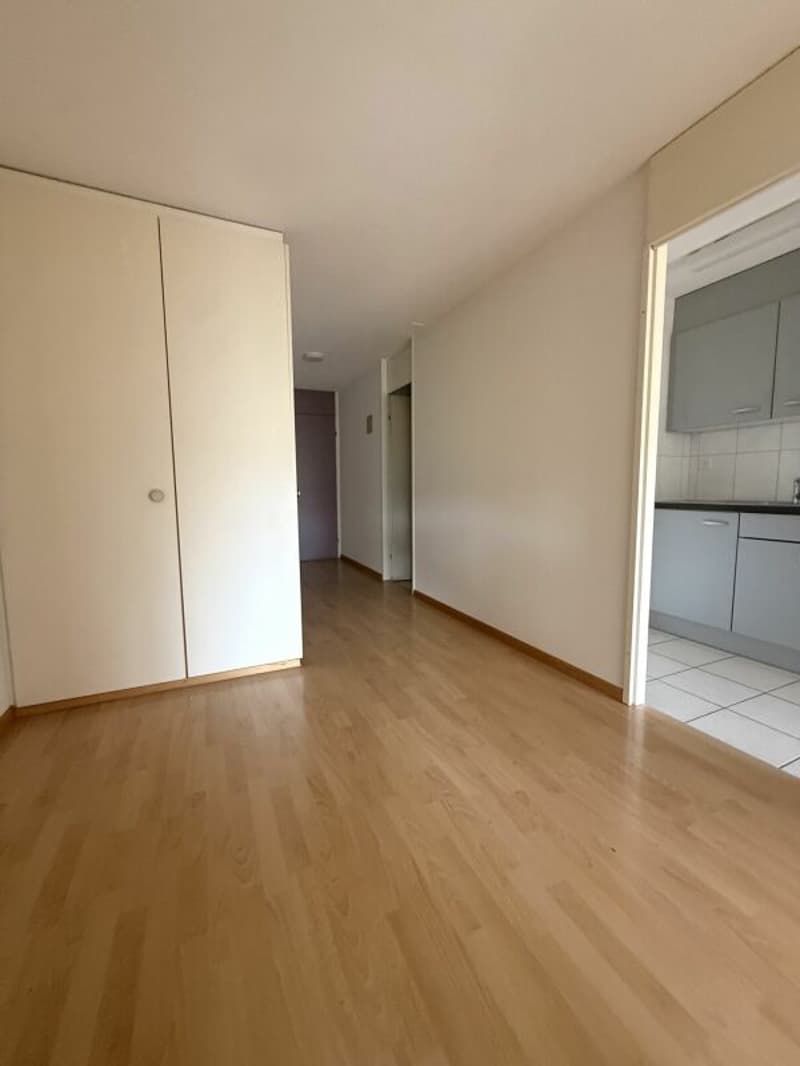 2.5-room apartment with attractive floor plan (4)