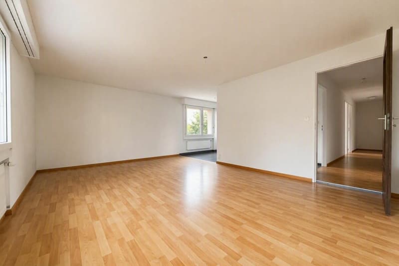 Grosszügige 5.5-Zimmerwohnung an zentraler Lage (1)