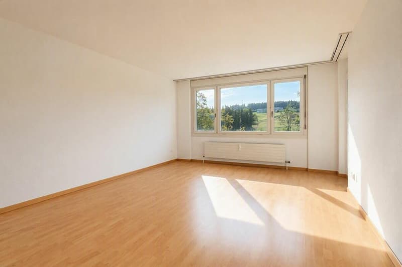2.5-Zimmer-Wohnung mit attraktivem Grundriss (4)