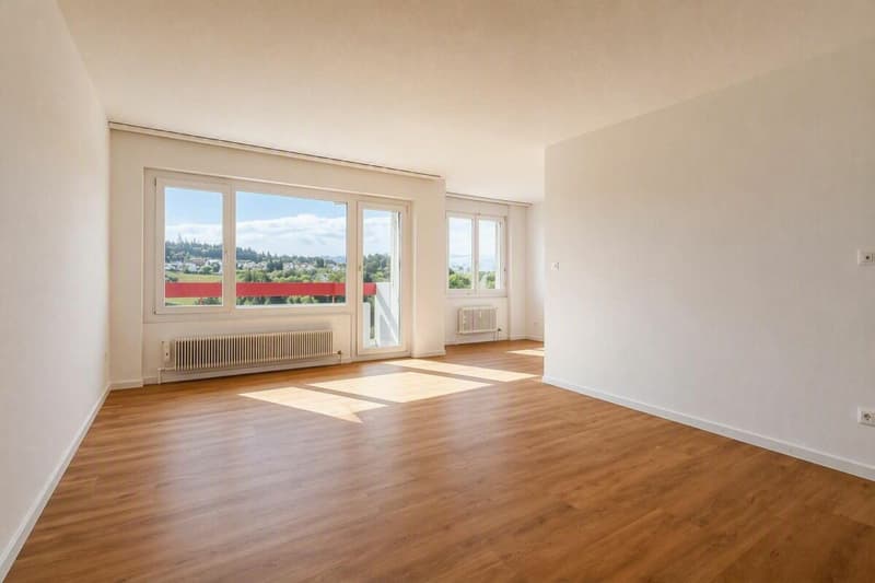 Teilrenovierte 4.5-Zimmerwohnung mit attraktivem Grundriss (3)