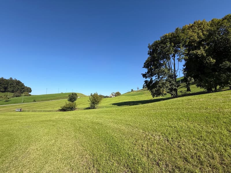 Grünes Panorama inklusive