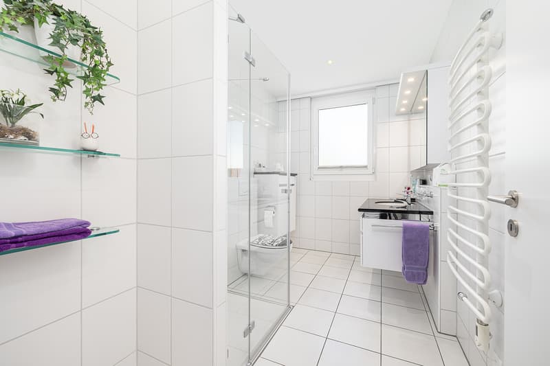 Nasszelle mit Dusche/WC